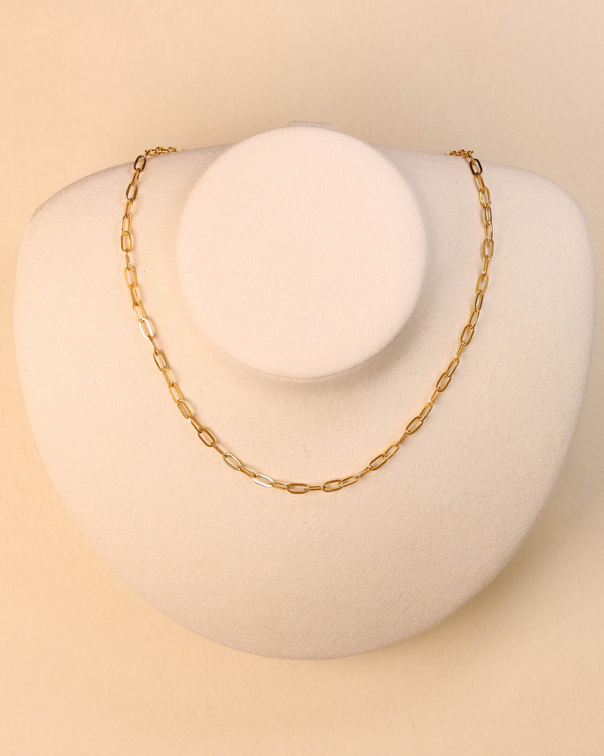 Paperclip Chain Necklace on display – GNK00041